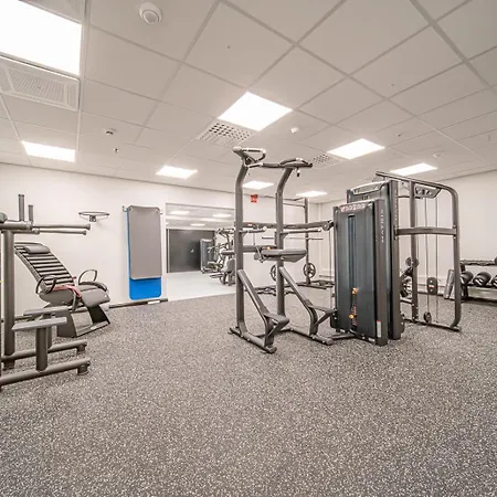 Levillas Levin Cranberry C26