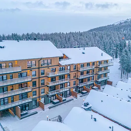 Levillas Levin Cranberry C26