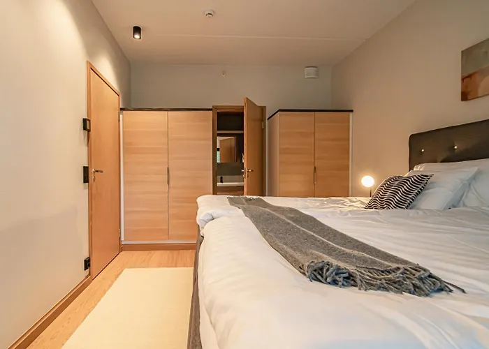 Levillas Levin Cranberry C26 Levi