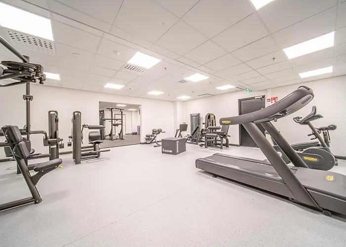 Levillas Levin Cranberry C26