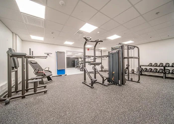 Levillas Levin Cranberry C26