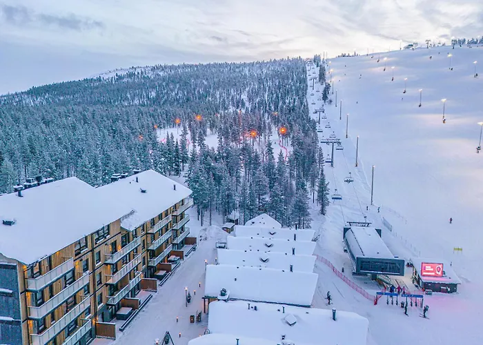 Levillas Levin Cranberry C26 * Levi