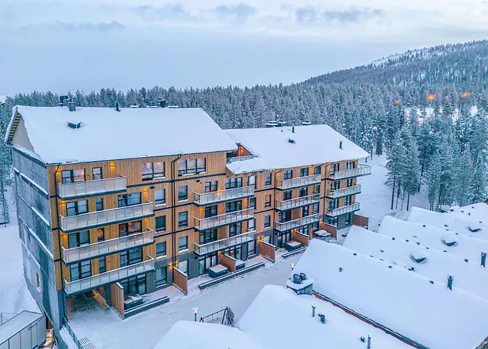 Levillas Levin Cranberry C26